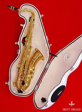 E-Sax Whisper Mute for Tenor Saxophone - Image 4