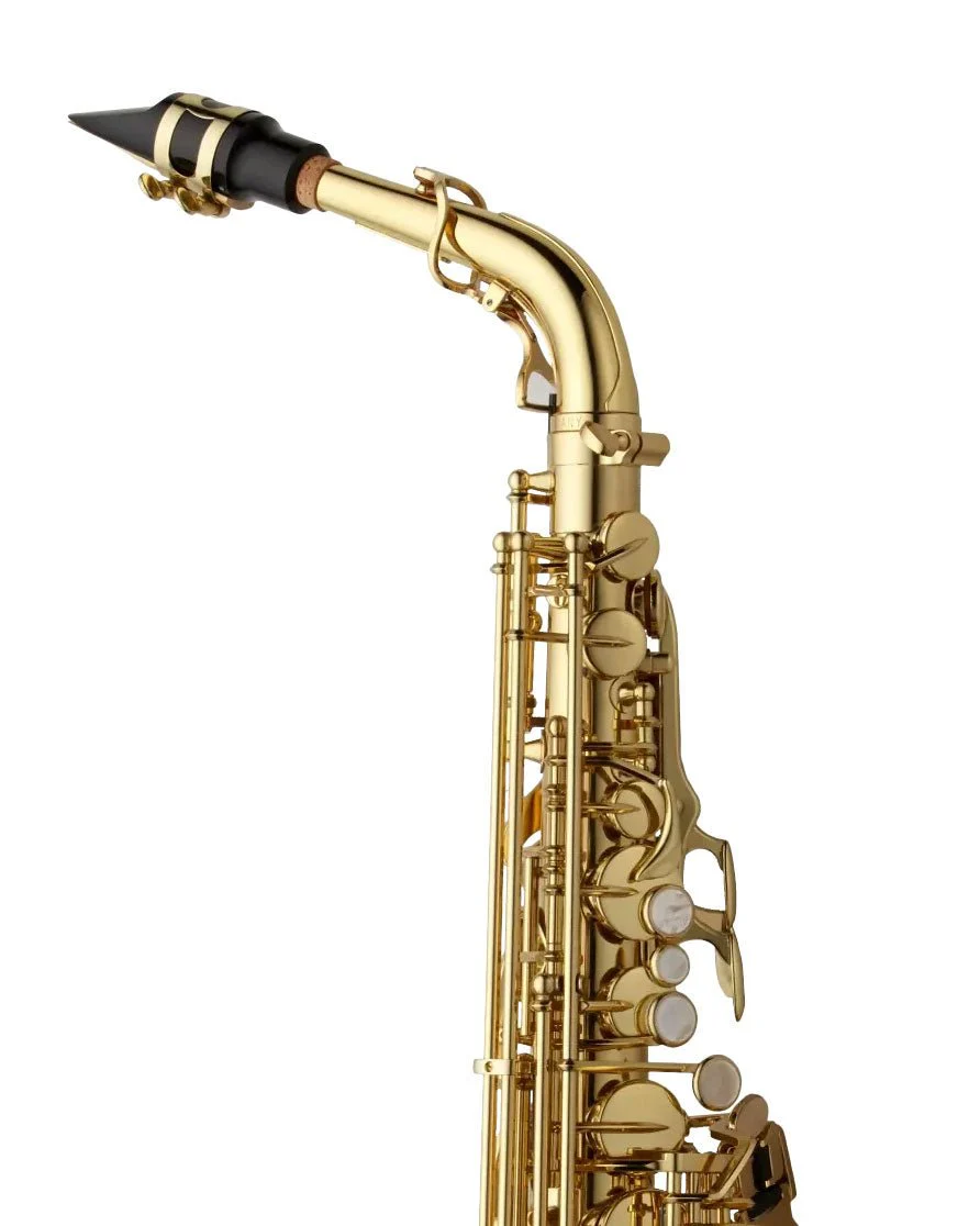 Yanagisawa AWO10U Alto Saxophone - Unlacquered - Image 3